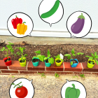 夏野菜を植えました🌱-放課後等ディサービスmico cala -