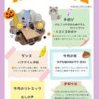 10月のプログラム🍂-児童発達支援mico mico-